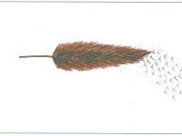 TRISTESA Adrian V 17